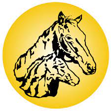 Logo of Mustang Sampling
